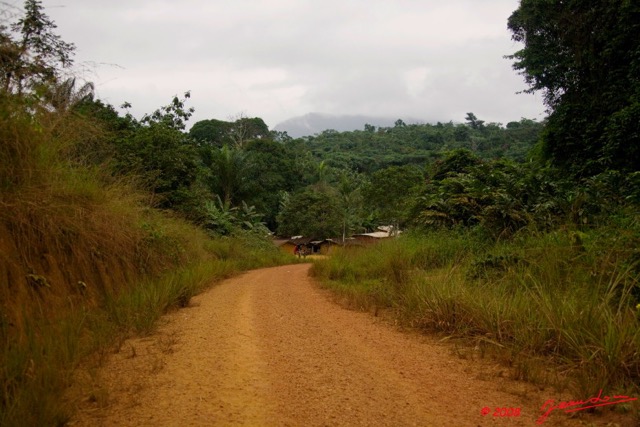 Le Massif du CHAILLU